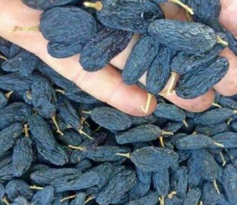 Майиз(гигант,к кишмиш) Лицензияланган экспорт боб, Фирмалар билан ишли