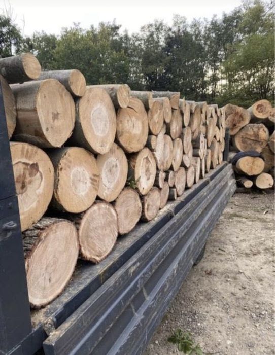 ‼️Lemne de foc de calitate superioară [Fag,Gorun,Carpen,Cer]