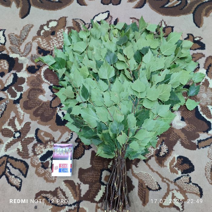 Берёзовые веники