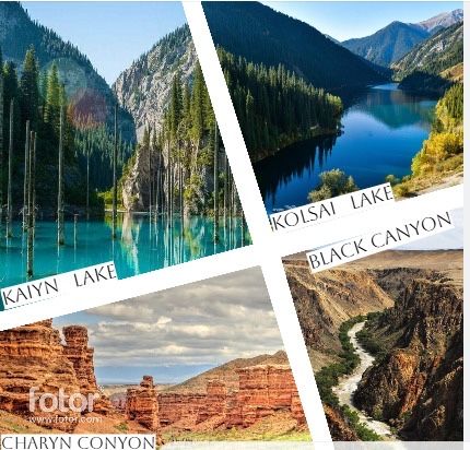 Трансфер Алматы | Минивэн 7 мест | ALPHARD