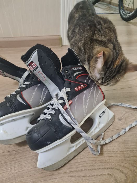 Ледвоые коньки star 212