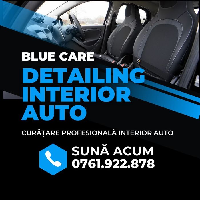 Detailing interior auto