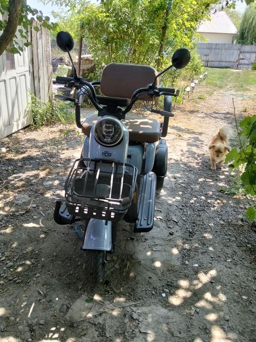 Mini triciclu Rdb