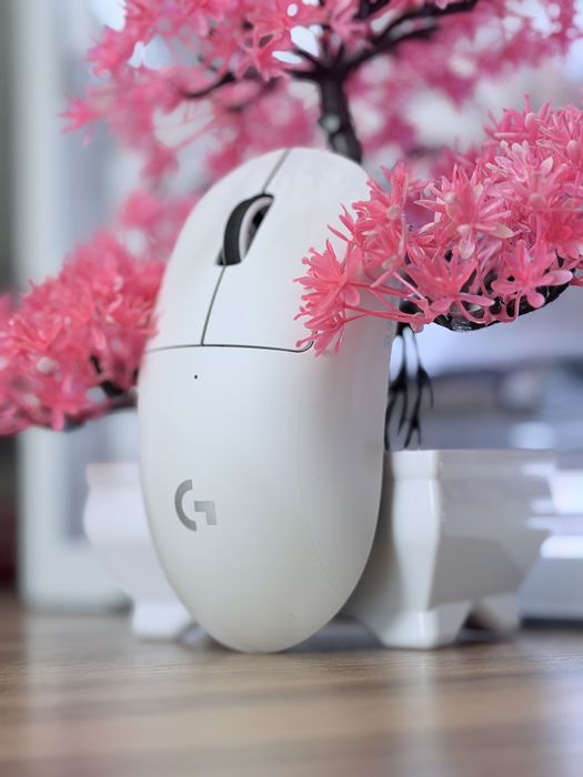 Игровая мышь Logitech G Pro X Superlight