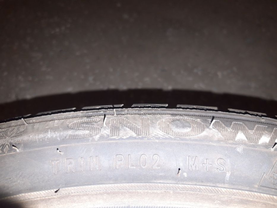 Зимние шины  TRIANGLE plo