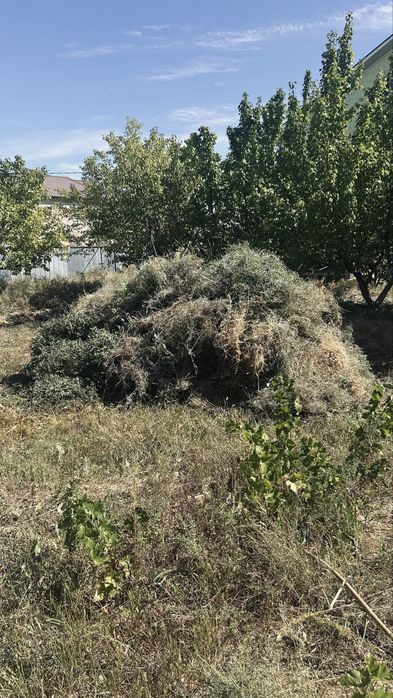 Продается сено  Шөп сатылады