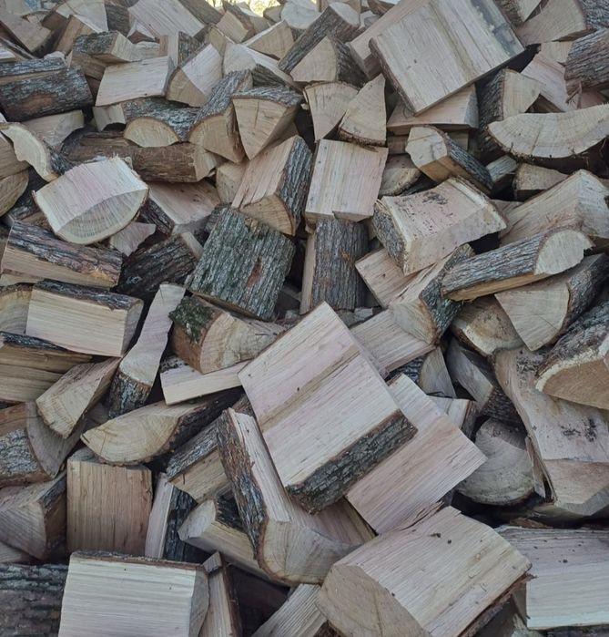 Lemn de foc stejat uscat 600 lei tona