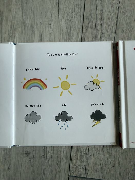 Emotiile lui Noni - Trist & Furios