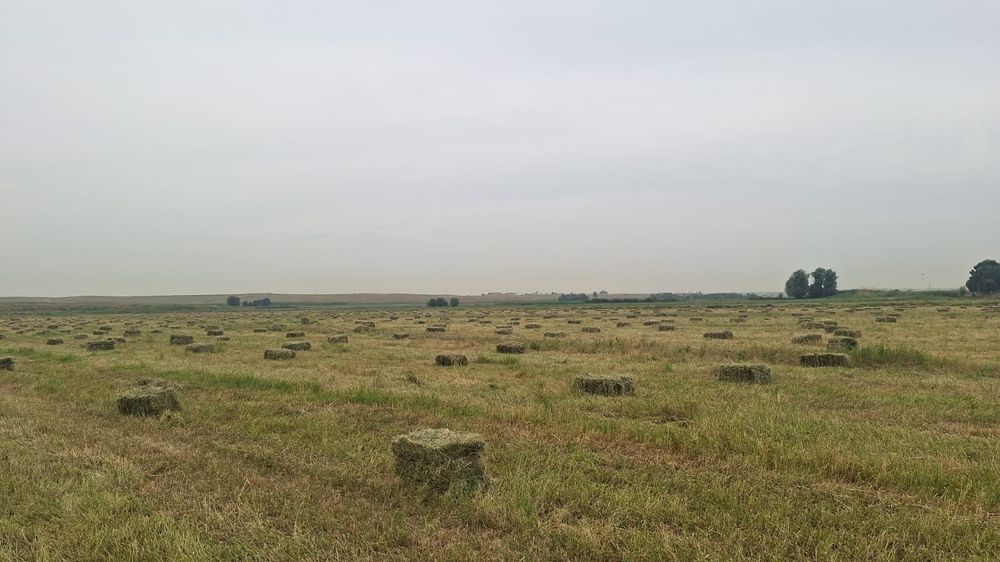 Жонышка пресс , бірінші орым