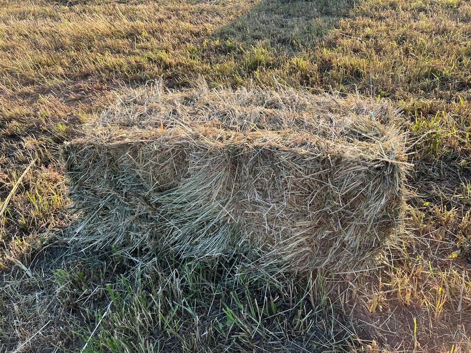 Vând baloți de fân