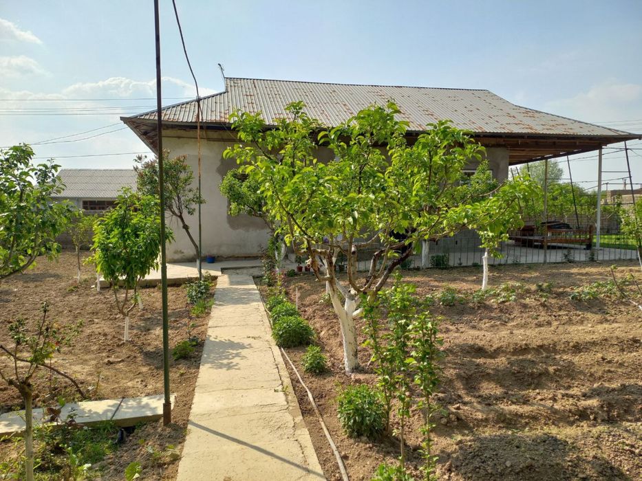 Ховли сотилади Рохатдан 18км