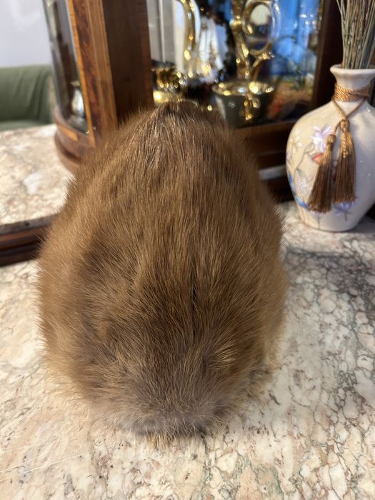 Caciula blana de vizon beige