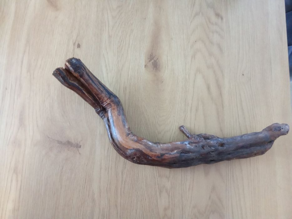 Decoruri acvariu/terariu