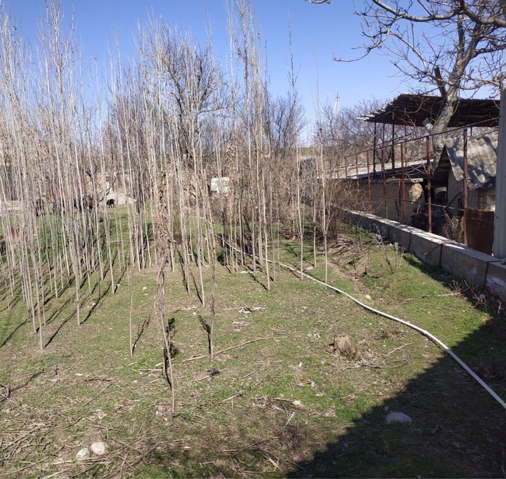 Ферма для животноводства.   г.Чирчик