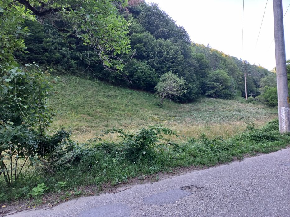 Teren în Apuseni,lângă șosea