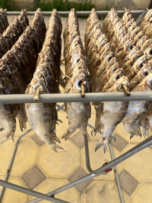 Вобла сушеная малосоленая