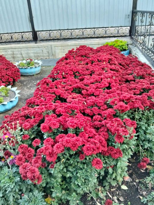 Продается благоустроенный дом в пос. Шахан