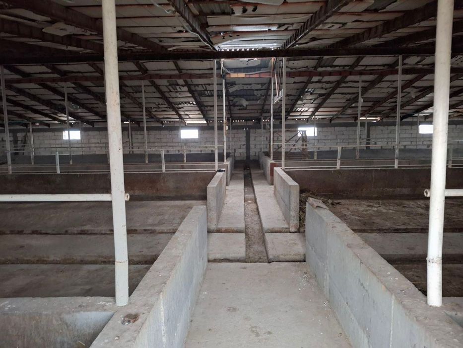 FARG’ONA , Rishton Tumanida tayyor biznes arzon narxda sotiladi .