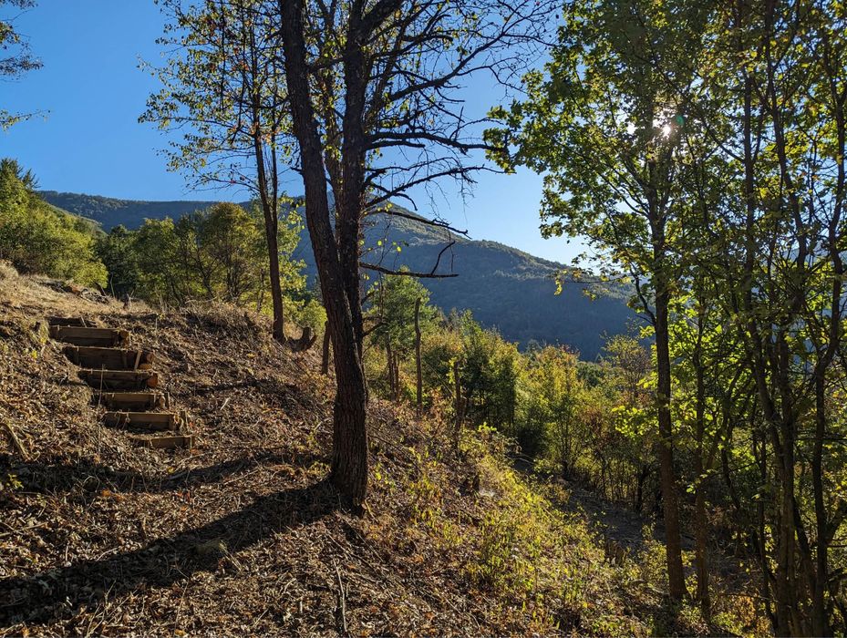 Поземлен имот с. Свидня