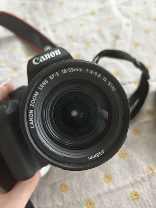 Canon EOS 2000D + 50mm lens  f/1.8 STM