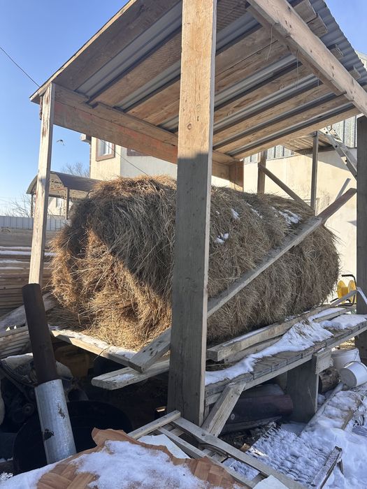 Шөп рулон шоп түк