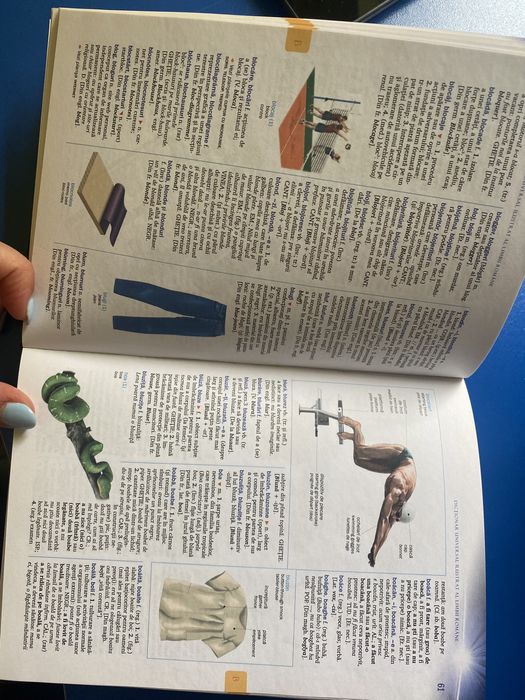 Dicționar universal ilustrat al limbii române