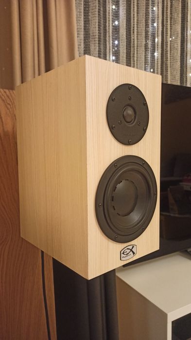 Exproject D2.1EX Swans HIVi Research DYNAUDIO + swans стойки