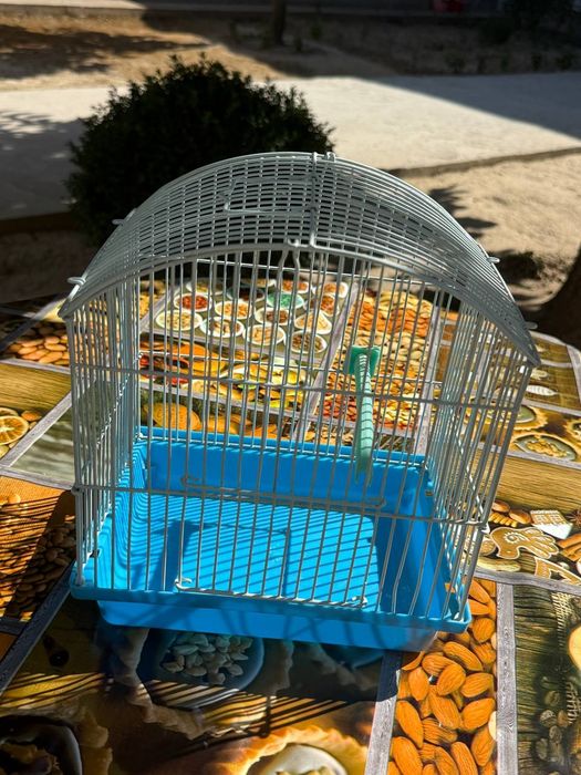 Птицы домики использование