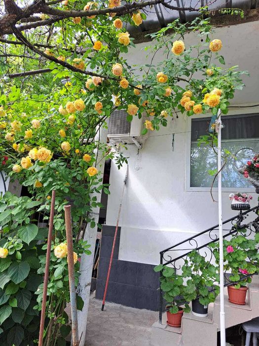 Къща в село Каменово / разградско