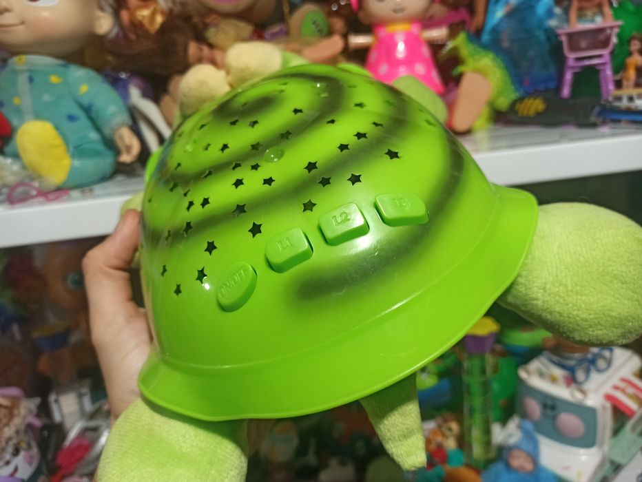 Lampa de veghe , testoasa