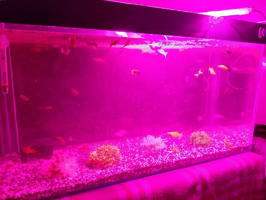 Аквариум 120 литр