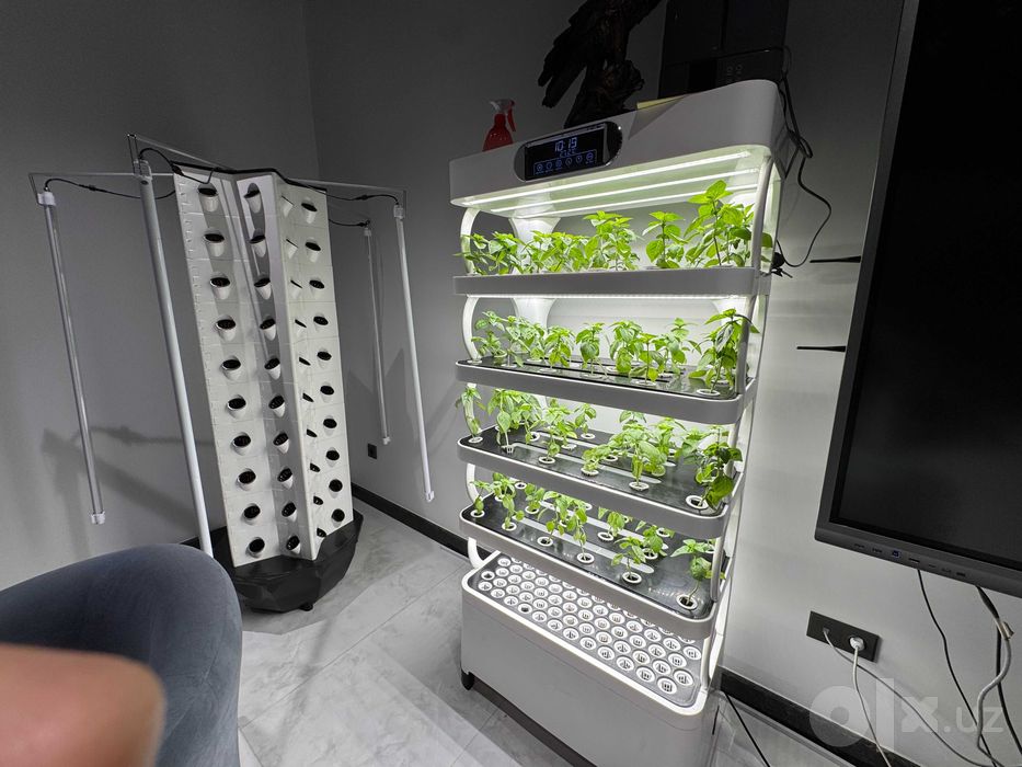 Inson boshi kesimi anatomik modeli - ko‘rgazmali o‘quv quroli