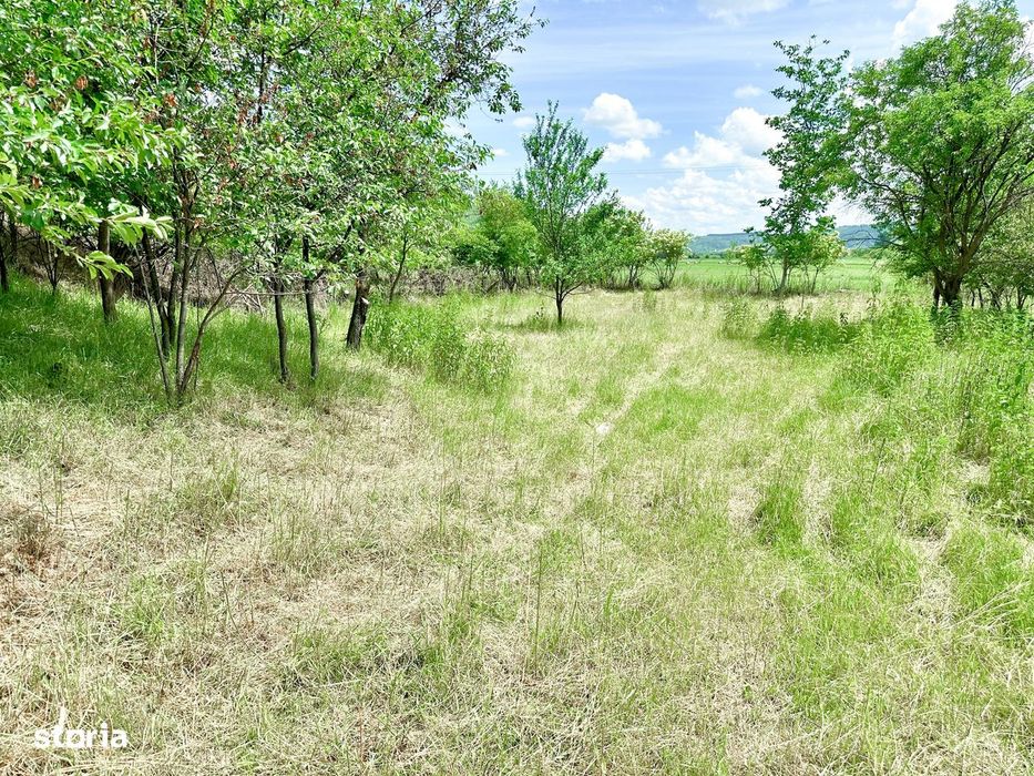 CASĂ DE VÂNZARE
Sat Alma, comuna Alma – județul Sibiu