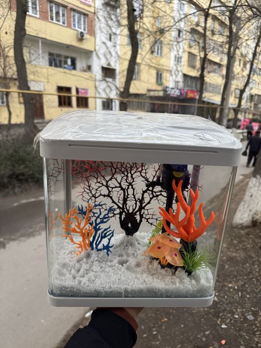 Akvarium kamplektida filtr kislarod va lampalari boladi