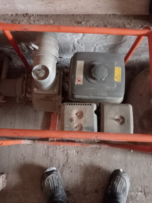 Продам вадиинои попа  сотка