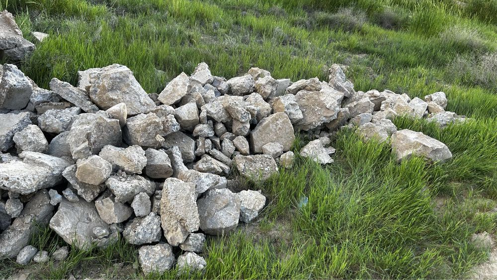 Блужник Самал 2