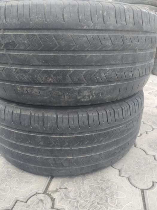 255 55 р18 летние