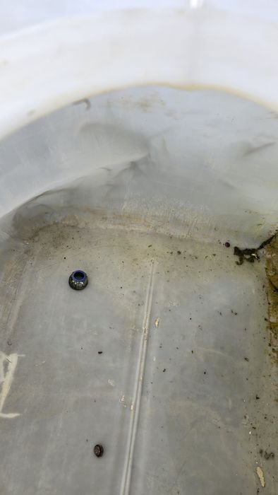 Ibc Бидони 1000л