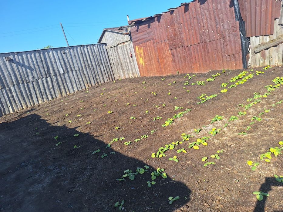 Продам дом и все остальное вместе  , есть торг