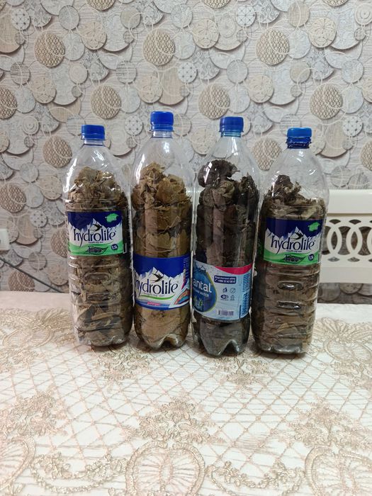 Ikra, malina, tok bargi bor