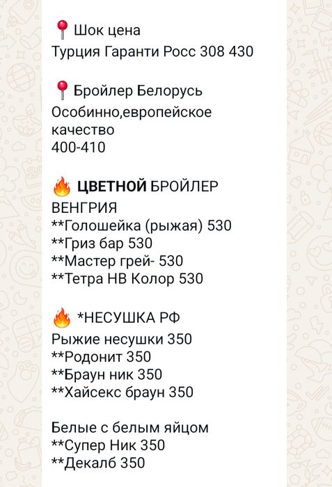 Инкубационное яйцо