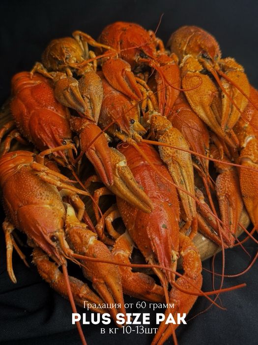 Раки Живые свежие