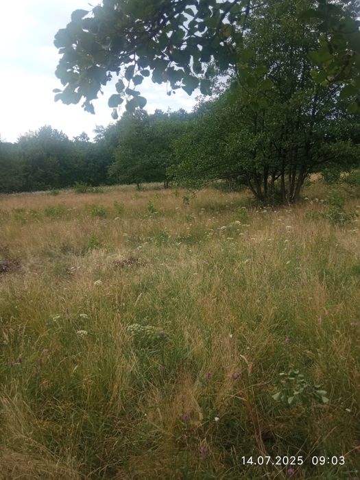 Vând teren extravilan