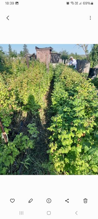 Продам дачу 18 маршрут