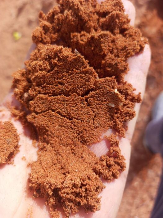 Шебен.Чахил.жумин.келтириб берамиз.