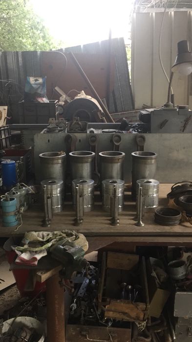 Андижанец поршневая