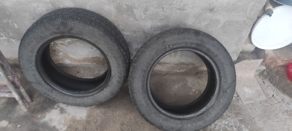 Продаются,Sotiladi.