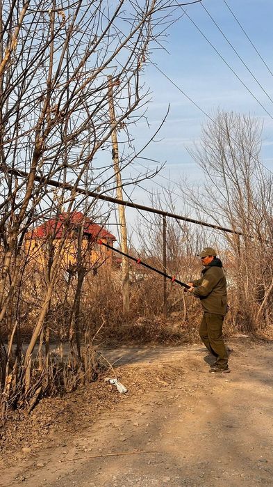 Обрезка срез древесины.