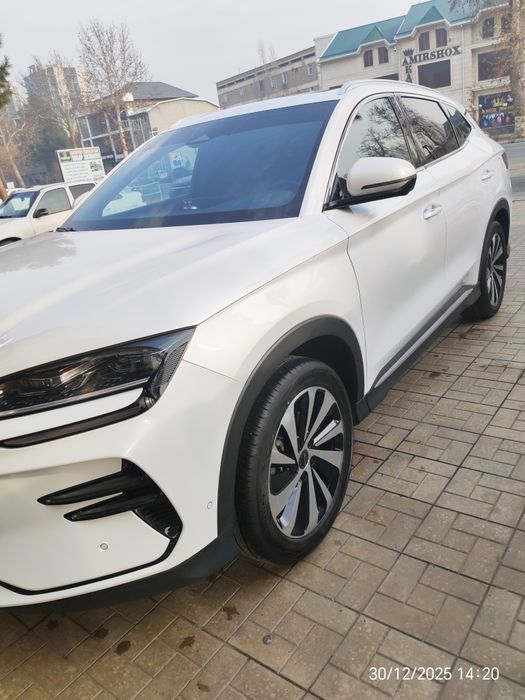 Byd song plus champion 23/24