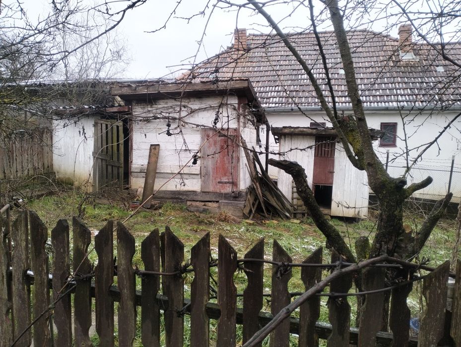 Servicii debarasări